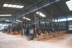 <b>“泥”槃：德化瓷土供应链的智能</b>